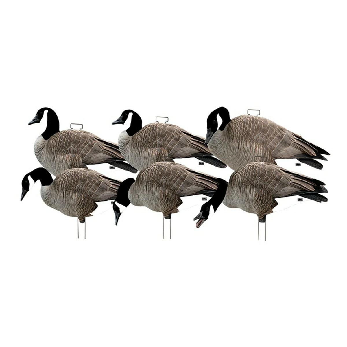 Greenhead Gear Pro-Grade Canada Silhouettes 12 Pack Decoys