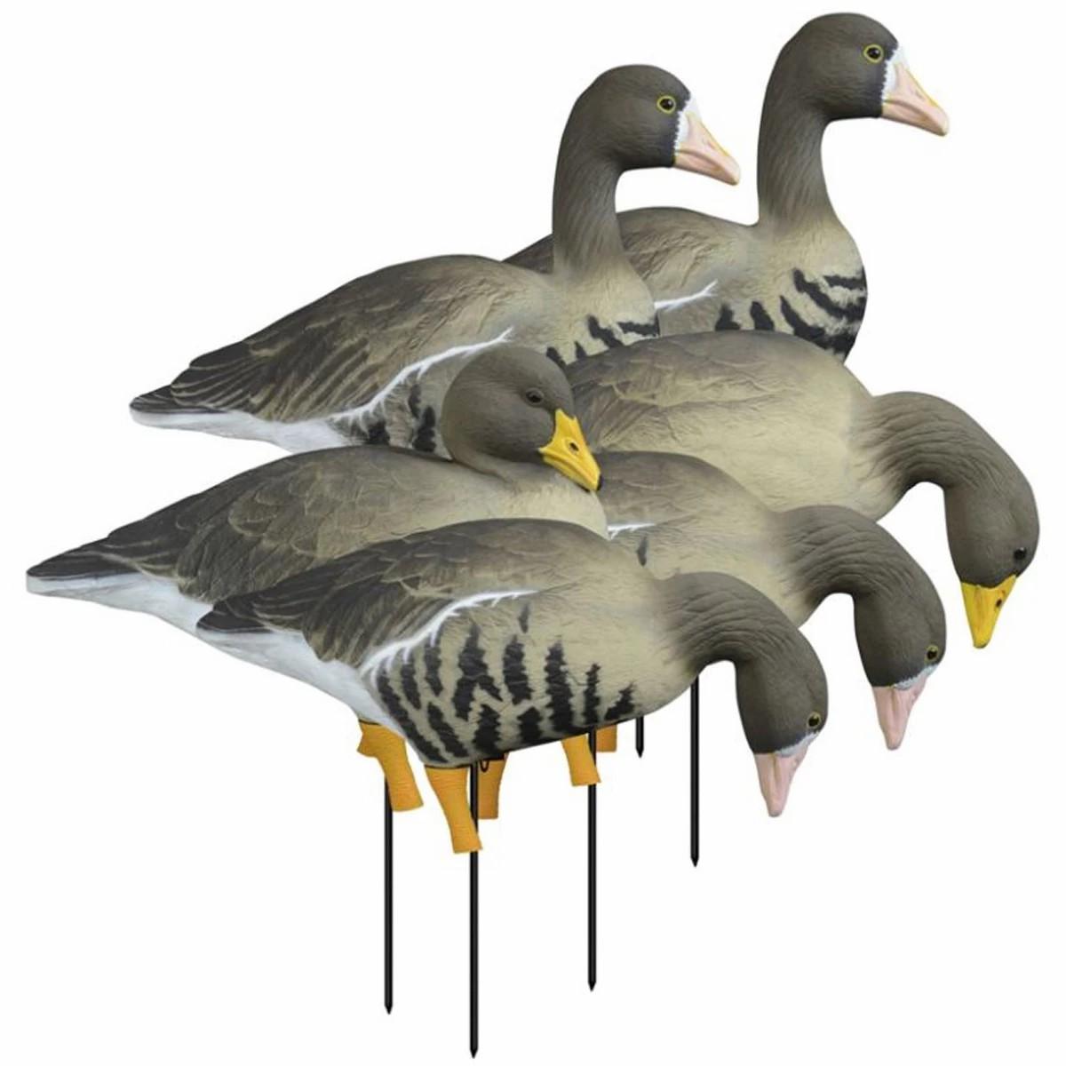 Higdon Apex Full-Size Full-Body Variety Pk, Specklebelly Decoys