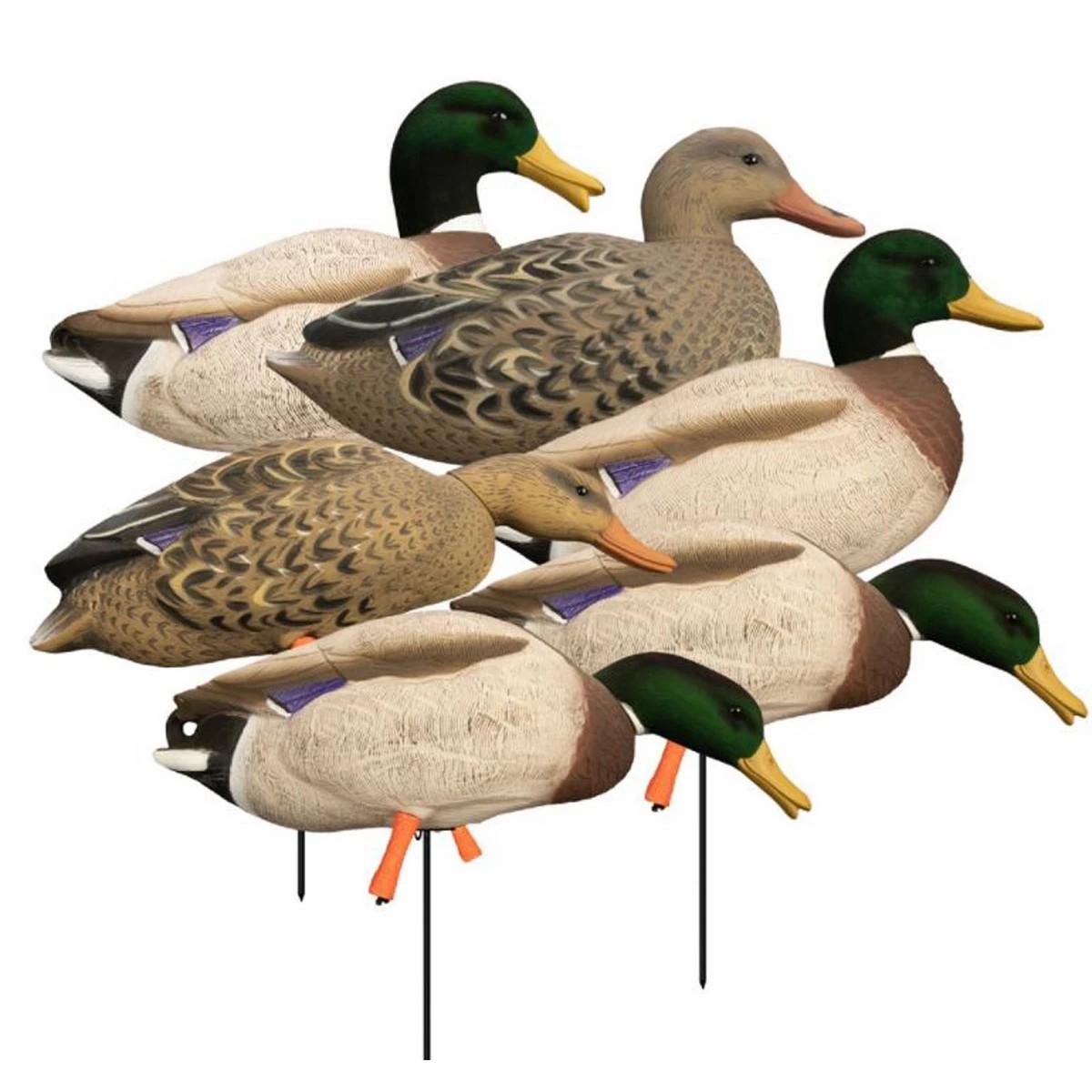 Higdon Magnum Full-Body Mallard, Variety Pk, Flocked Heads Decoys