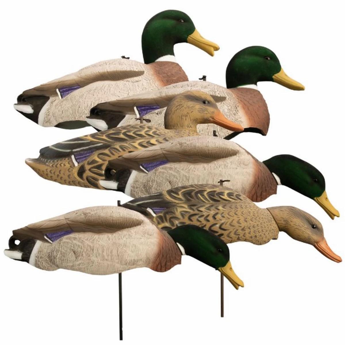 Higdon Magnum Full Form Shell Mallard, Variety Pk, Flocked Heads Decoys