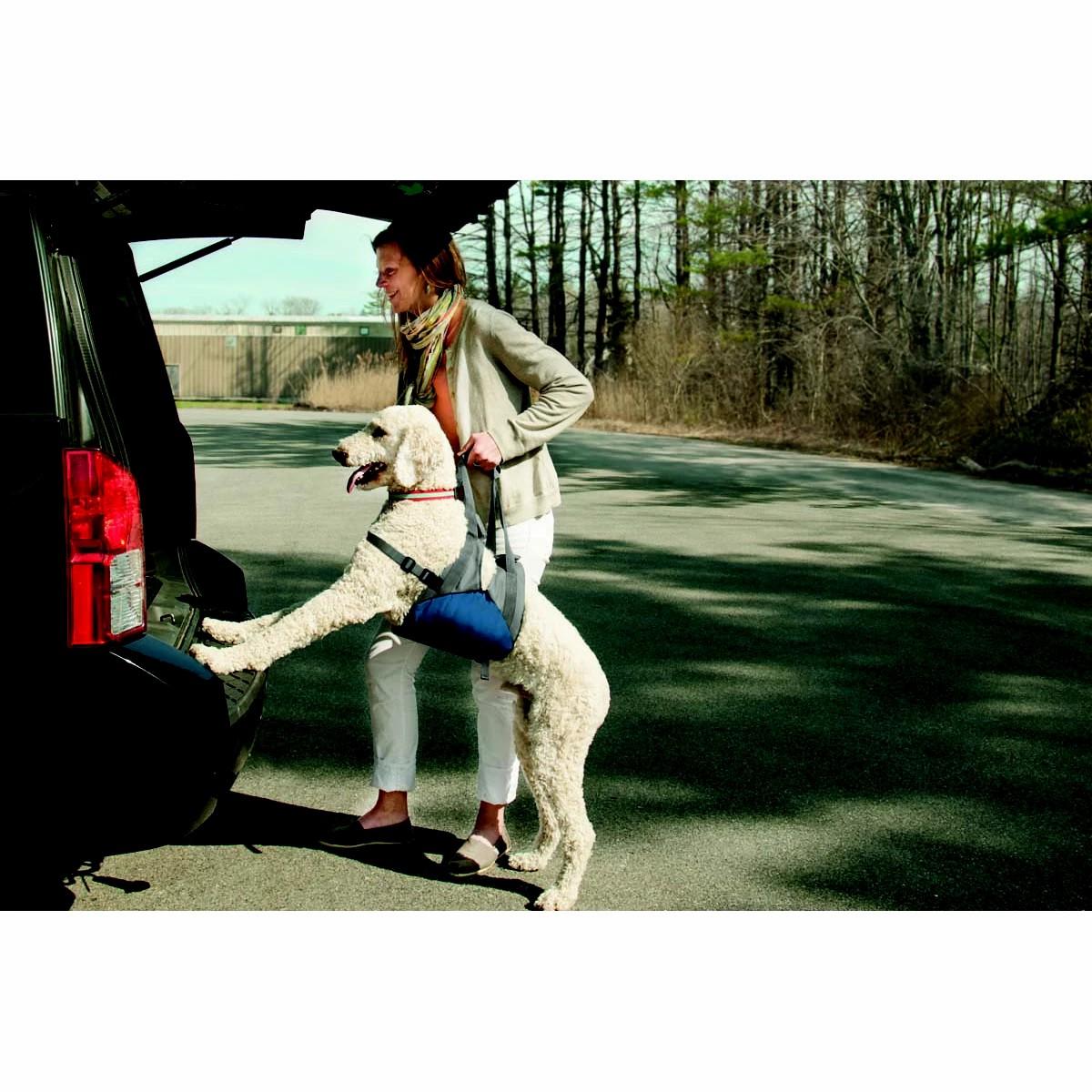 Kurgo Up And About Dog Lifter Dog Training & Suoolies