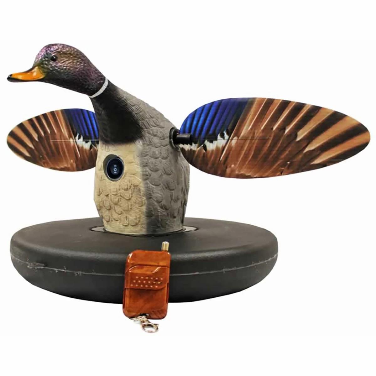 Mojo Mallard Drake Floater Decoys Decoys