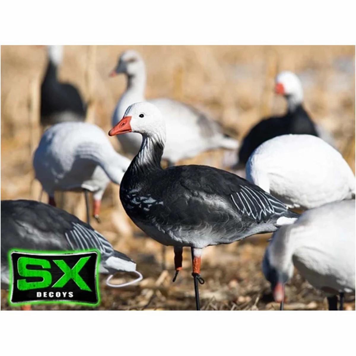 Sx Full Body Adult Blue Goose Decoy Pack Decoys