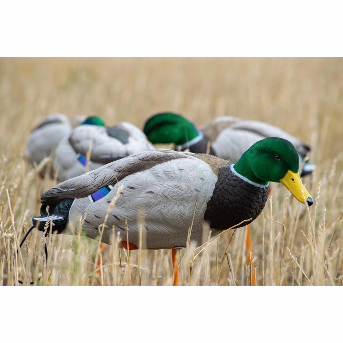 Sx Full Body Mallard Flocked Head Decoys 6 Pack Decoys