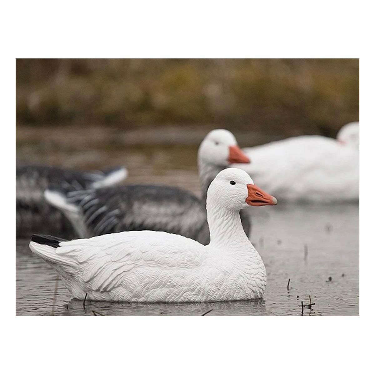 Sx Sentry Floater Adult Snow Goose Decoys Decoys