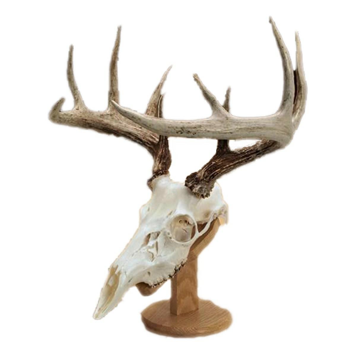 Walnut Hollow Country Solid Oak Skull Mount Kit Accessories